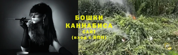 дмт Белокуриха