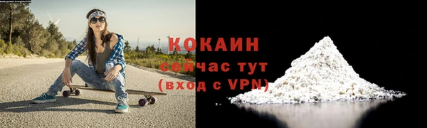 дмт Белокуриха