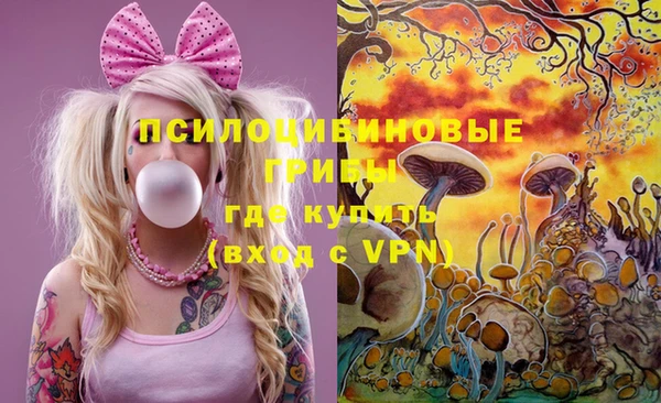 дмт Белокуриха