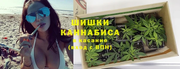 дмт Белокуриха